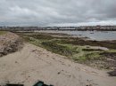 Barfleur